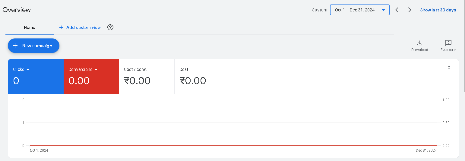 Full Google Ads overview for Q4 2024 showing zero activity